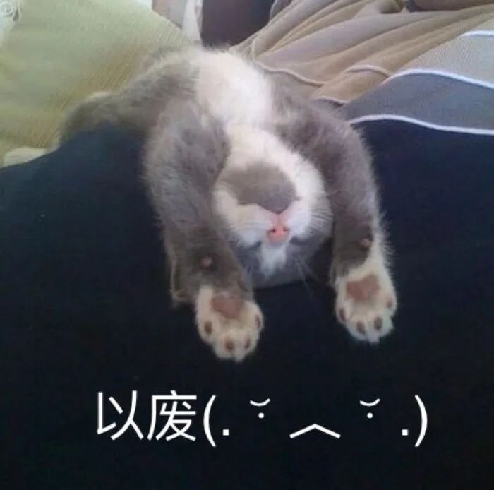 人生蓝图规划师,抓住新机遇,助力他人,实现人生价值-一鸣资源网