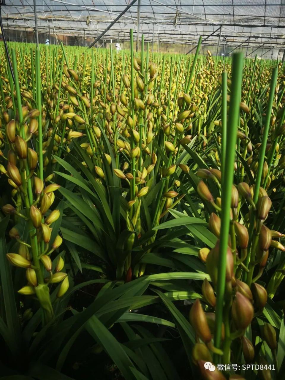 线上流量密训班21.0,24年下半年-无界红利和盈利玩法,终极优化/无界关键词/无界精准人群-一鸣资源网