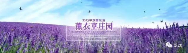 图片[2]-【邹城巴黎春天婚纱摄影】最新拍摄基地《安纳伯格》给您一个独一无二的拍摄体验，让您的婚纱作品不再被复制-一鸣资源网