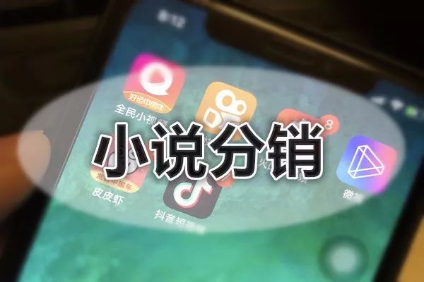 图片[1]-手把手教你制作短视频玩儿小说分销-一鸣资源网