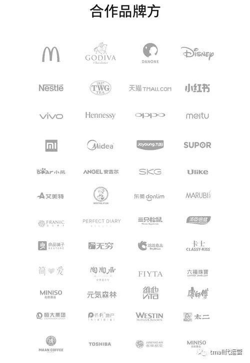 图片[5]-展望2021年十大淘宝天猫代运营公司排名-一鸣资源网