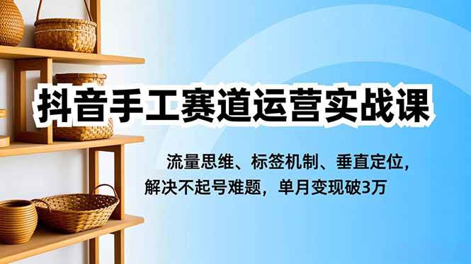 抖音手工赛道运营实战课，流量思维、标签机制、垂直定位，解决不起号难题，单月变现破3万-一鸣资源网