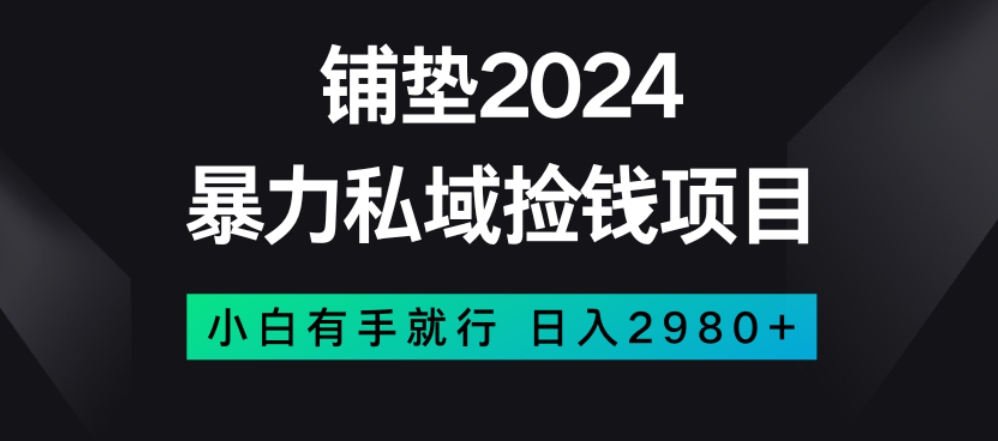 暴力私域捡钱项目，小白无脑操作，日入2980【揭秘】-一鸣资源网