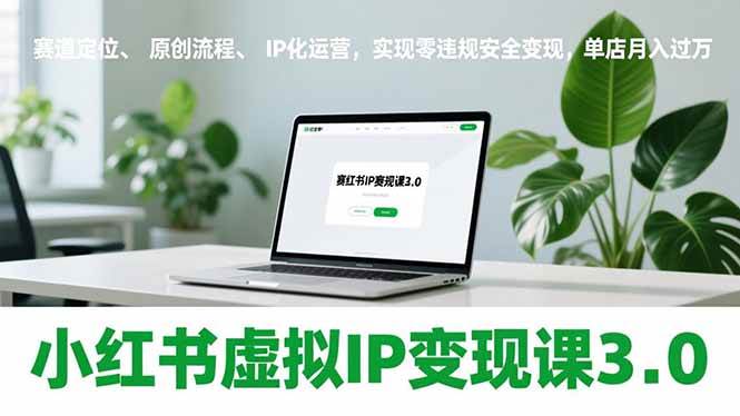 小红书虚拟IP变现课3.0，赛道定位、原创流程、IP化运营，实现零违规安全变现，单店月入过万-一鸣资源网