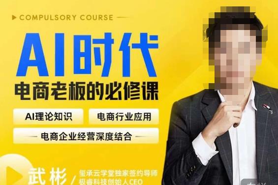 玺承·AI时代,电商老板的必修课,理论+实操+工具,驱动电商销售转化