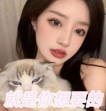 微信交友变现项目,吸引全网LSP男粉精准变现,小白也能轻松上手,日入500+