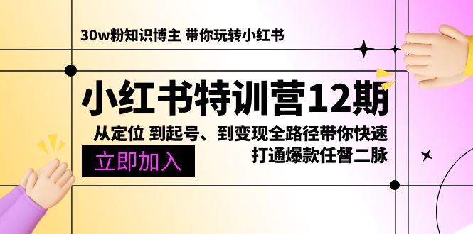 小红书特训营12期:从定位 到起号、到变现全路径带你快速打通爆款任督二脉 小红书特训营12期:从定位 到起号、到变现全路径带你快速打通爆款任督二脉