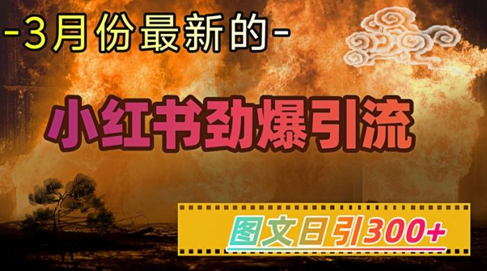 小红书超劲爆引流手段，图文日引300+轻松变现1W-一鸣资源网