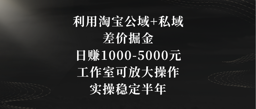 图片[1]-利用淘宝公域+私域差价掘金：日赚1000-5000元，工作室可放大操作，实操…-阿灿说钱