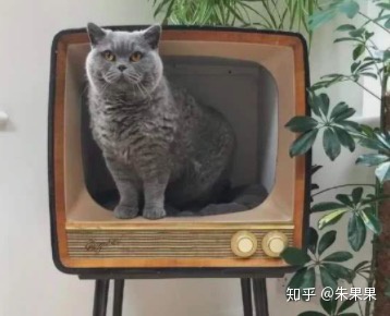 图片[8]-做什么销售比较好？-一鸣资源网