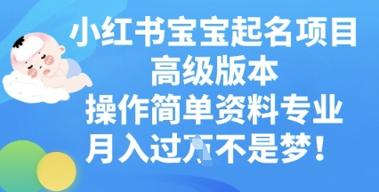图片[1]-小红书宝宝起名项目高级版本，操作简单，资料专业，月入过W-一鸣资源网