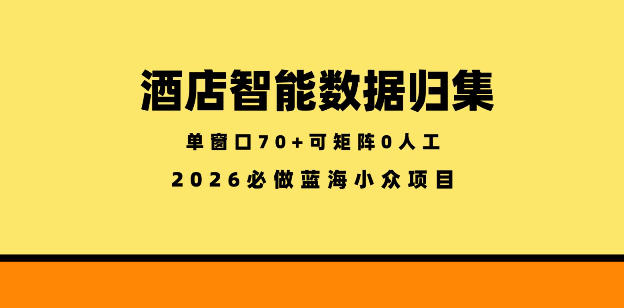 酒店智能数据归集，小众蓝海已经稳定半年之久，单窗口70+零成本矩阵开干【揭秘】-一鸣资源网