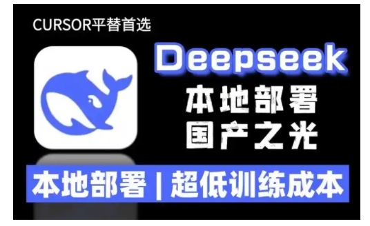图片[1]-2025年deepseek R1 大型模型本地安装部署(文件+教程)本地部署，超低训练成本-一鸣资源网