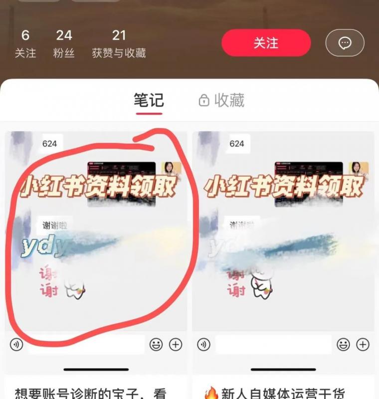 小红书虚拟资料项目实操复盘,保姆级搞钱玩法,月入2W+!