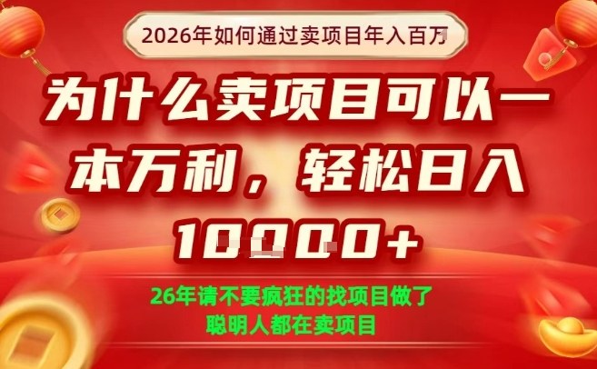一单净利润1K+，26年想年入100个W，死磕卖项目就够了【揭秘】-一鸣资源网