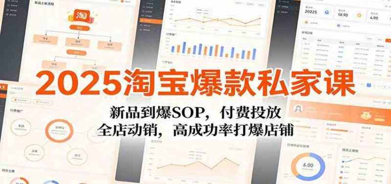 2025淘宝爆款私家课：新品到爆SOP，付费投放，全店动销，高成功率打爆店铺 -1