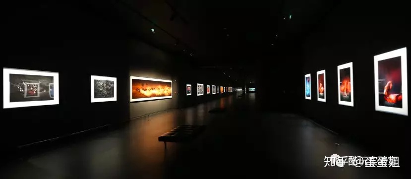 图片[1]-好利来蛋糕散伙，据说原因是创始人太痴迷于摄影，花费5亿，如何看待企业创始人这种对爱好的痴迷?-一鸣资源网