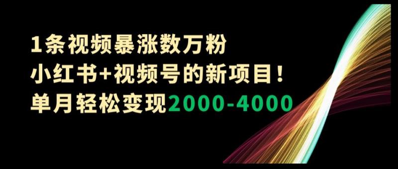 1条视频暴涨数万粉–小红书+视频号的新项目!单月轻松变现2000-4000【揭秘】