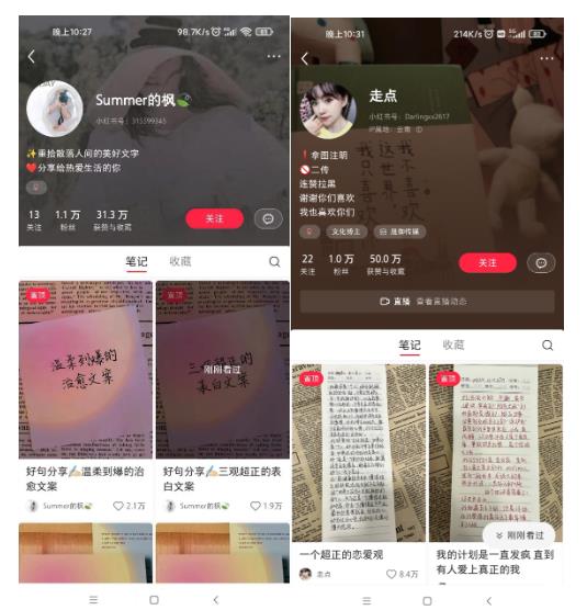 AI批量制造小红书爆款笔记+小红书无货源,玩法一条龙实操,小白也能轻松日入500+【揭秘】