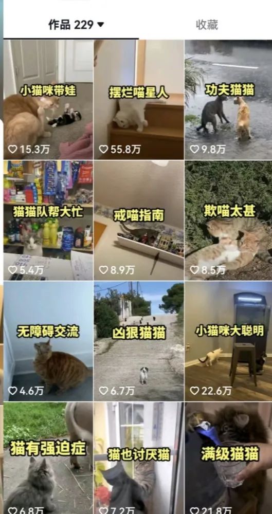 图片[3]-拆解：抖音盘点类视频变现副业项目，一条龙大解析分享给你-阿灿说钱