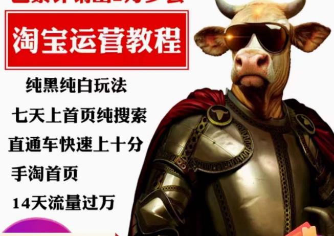 猫老师·淘系算法逆向解密，​纯黑纯白玩法，七天上首页纯搜索，手淘首页14天流量过万-一鸣资源网