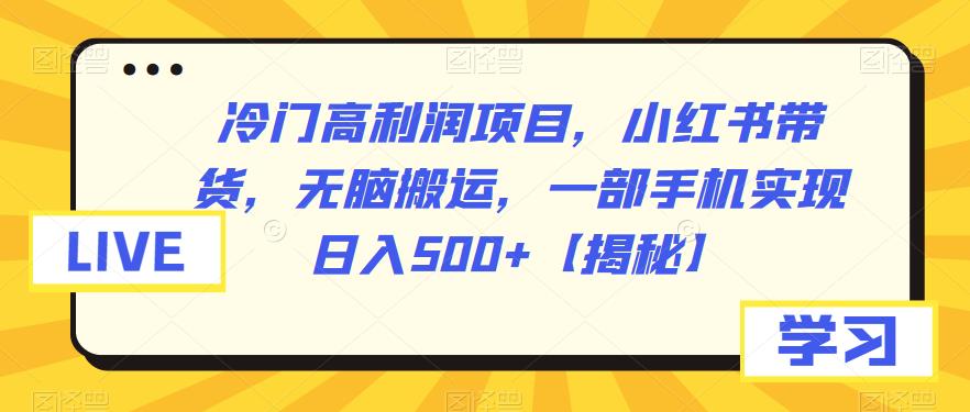 冷门高利润项目，小红书带货，无脑搬运，一部手机实现日入500+【揭秘】-一鸣资源网