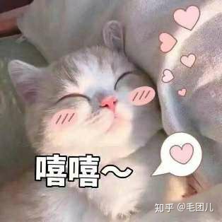 图片[3]-第一调查网可靠吗？-一鸣资源网