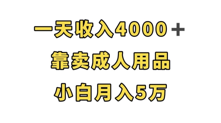 一天收入4000 ,靠卖成人用品,小白轻松月入5万【揭秘】