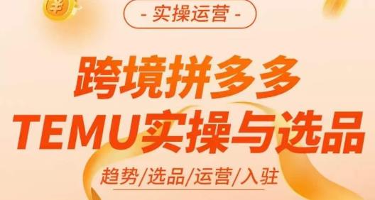 伍跃·跨境拼多多TEMU实操与选品，​趋势/选品/运营/入住（27节完整）-一鸣资源网