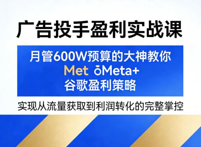 广告投手盈利实战课，月管600W预算的大神教你Meta+谷歌盈利策略，实现从流量获取到利润转化的完整掌控-一鸣资源网