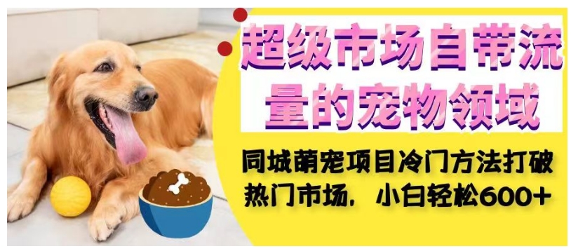 超级市场自带流量的宠物领域,同城萌宠项目冷门方法打破热门市场,小白轻松600