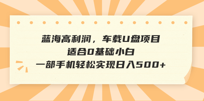 蓝海高利润,车载U盘项目,适合0基础小白,一部手机轻松实现日入500+-一鸣资源网