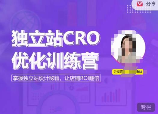 独立站CRO优化训练营,掌握独立站设计秘籍,打造高转化的独立站,让店铺ROI翻倍-一鸣资源网