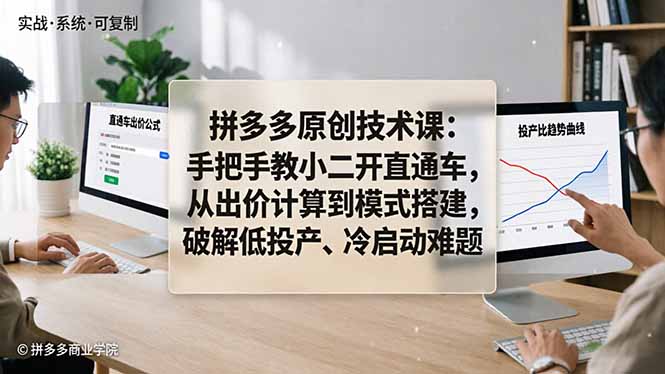 拼多多原创技术课：手把手教小二开直通车，从出价计算到模式搭建，破解低投产、冷启动难题-一鸣资源网