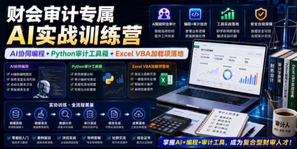 财会审计专属AI实战训练营｜AI协同编程+Python审计工具箱+Excel VBA加载项落地-一鸣资源网