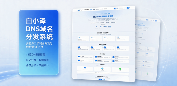 图片[1]-白小泽DNS域名分发系统 公测版 v1.0.0-一鸣资源网