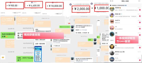 IP+爆款视频训练营，带你用最低成本跑通个人IP从0到1涨粉，从流量到现金的完整闭环-一鸣资源网