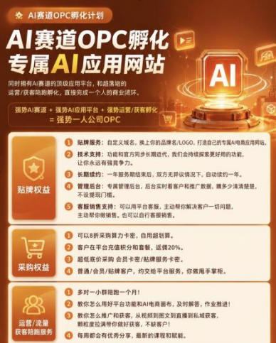 图片[4]-【首发】OPC一人公司项目，单日500+，手机电脑不限制，打造属于自己的品牌画布AI产品，收费陪跑【揭秘】-一鸣资源网