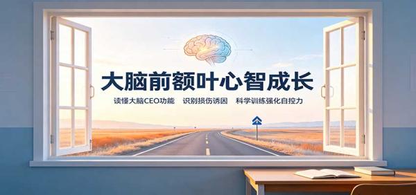 大脑前额叶心智成长：读懂大脑CEO功能，识别损伤诱因，科学训练强化自控力-一鸣资源网