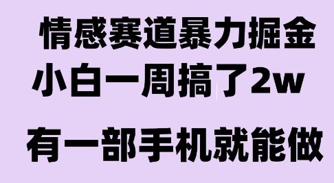 图片[1]-情感暴力掘金项目，新人操作一周挣了2W，长期稳定小白可做【揭秘】-一鸣资源网