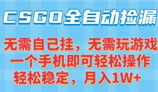 CSGO自动捡漏项目，最新独家玩法，一个手机可操作，新手小白轻松月入1W+，操作简单易上手【揭秘】-一鸣资源网