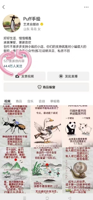 图片[2]-Puff手绘视频号分成项目，三天过分成计划，简单易上手，适合新手-一鸣资源网