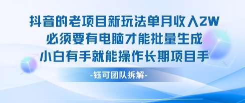 老项目新玩法单月收入2W小白有手就能操作长期项目-一鸣资源网