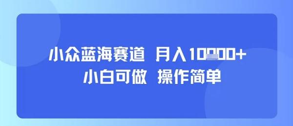 小众蓝海赛道，小白可做，操作简单，每天30分钟，月入1W+-一鸣资源网
