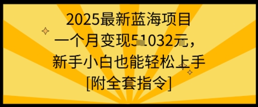 2025最新蓝海项目一个月变现1w+新手小白也能轻松上手【附全套指令】-一鸣资源网