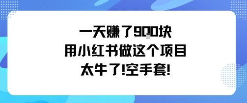 一天挣了9张用小红书做这个项目太牛了，空手套-一鸣资源网