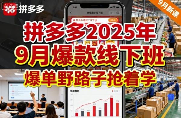 拼多多2025年9月爆款线下班，爆单野路子抢着学-一鸣资源网