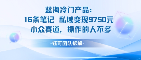 蓝海项目：16条笔记私域变现9750米小众赛道操作的人不多-一鸣资源网