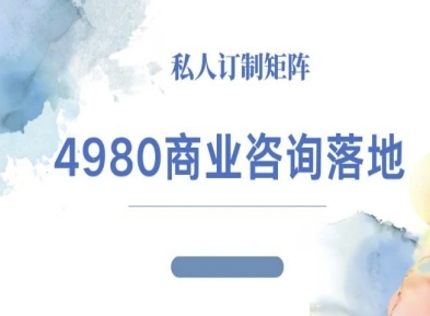 4980商业咨询师落地课程-ip运营高客单教程-一鸣资源网