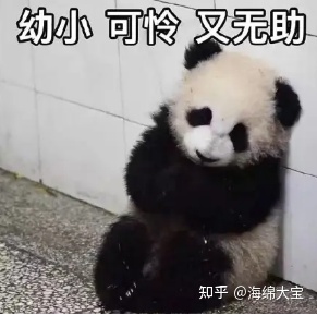 图片[2]-0基础小白如何自学视频剪辑？-一鸣资源网